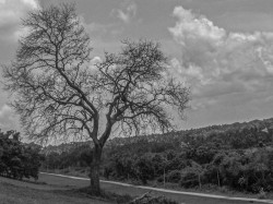 Standing Alone