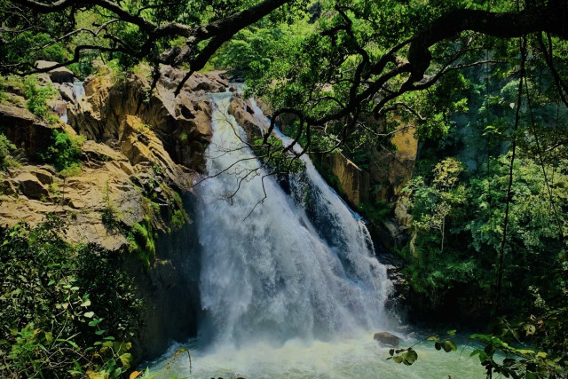 Beauty of nature