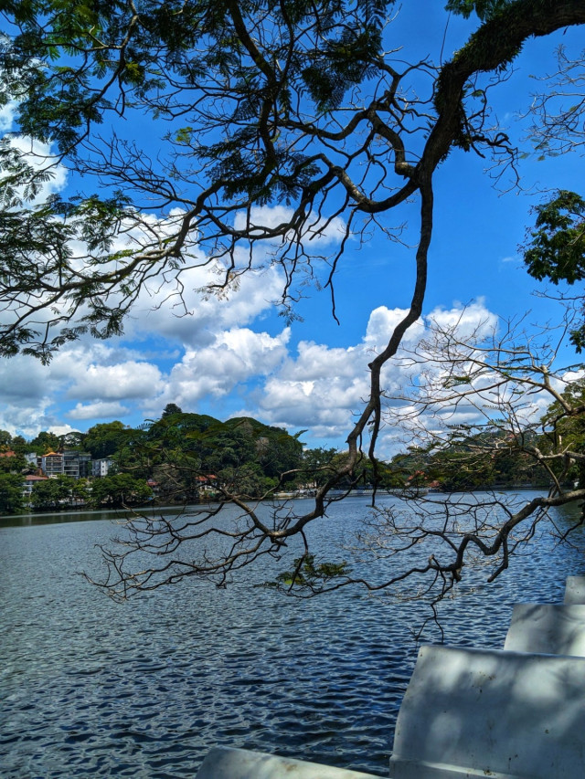 View of the lake round