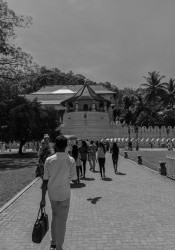 Temple of the tooth