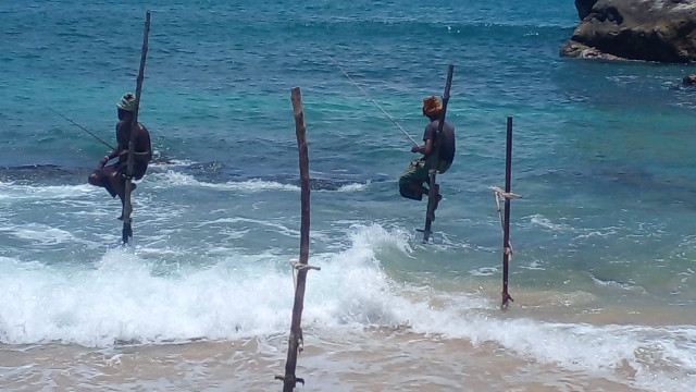 Fisherman