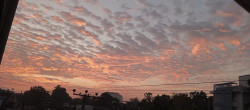 හැඩට නුබ