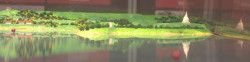Reflection