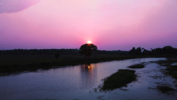 By the side of a canal fed with fertile water, the sun, having finished his duty, leaves to take a little rest.