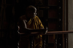 Waiting for the light