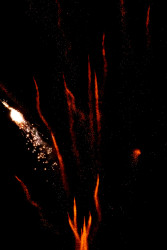 Fiery lights