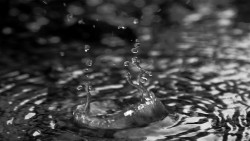 Droplet