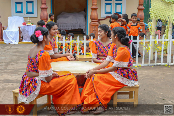 අනඳ බක්මහ උළෙල 2025