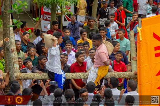 අනඳ බක්මහ උළෙල 2025