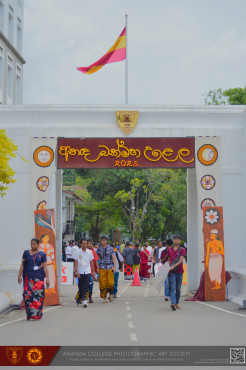 අනඳ බක්මහ උළෙල 2025