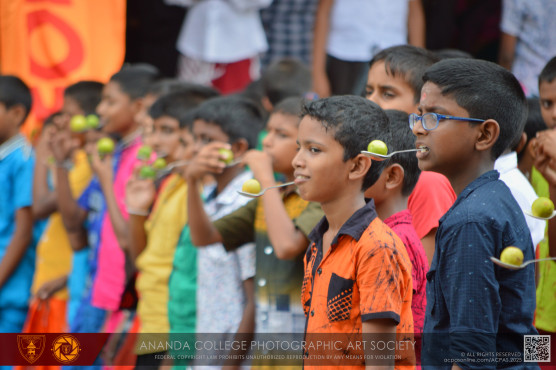අනඳ බක්මහ උළෙල 2025