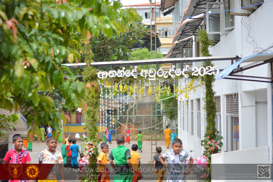 අනඳ බක්මහ උළෙල 2025