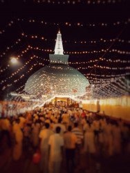 හිත නිවෙන තැනක්