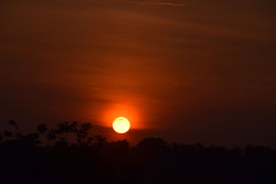 Painted Sunrise