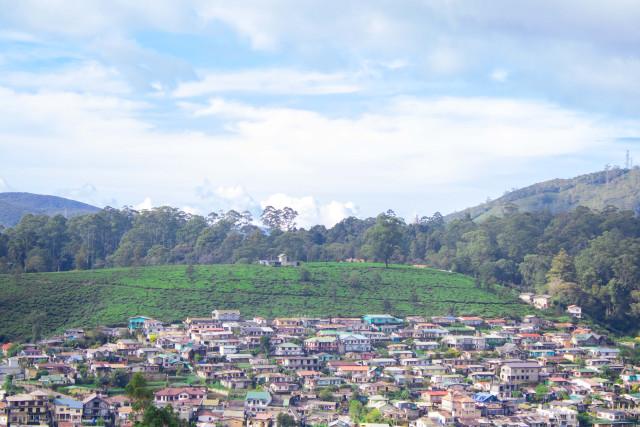Community