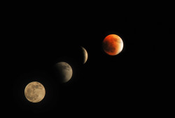 Journey of Blood Moon