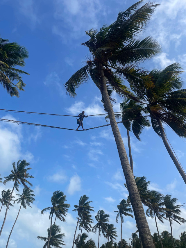 High above , harvesting life