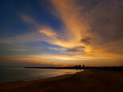 Golden Horizon