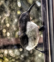 Cling to the glass