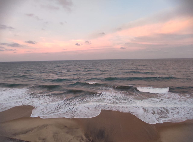 The Rosy Hour