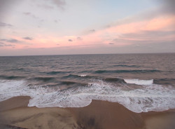 The Rosy Hour
