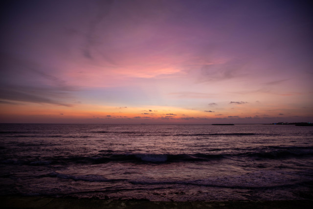 Purpae Dusk