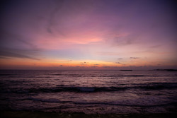 Purpae Dusk