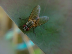 Beauty of nature