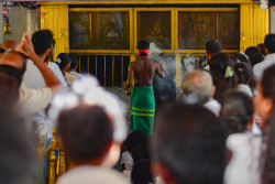 Devotion at the Shrine