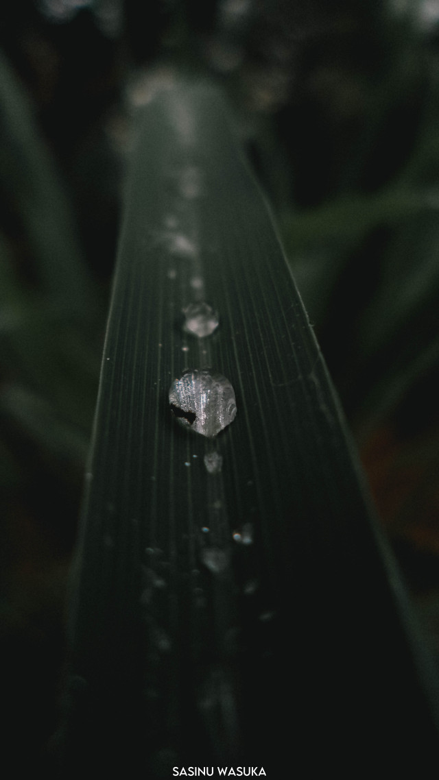 Rainy Vibes