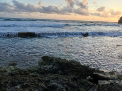 SeaWaves