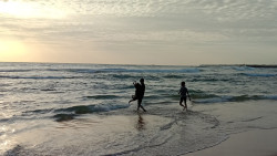 Golden hour waves of happiness