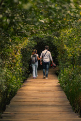 Hand in hand with nature