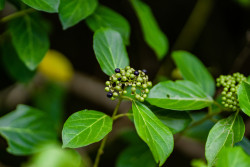 The First signs of change