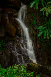 The nature’s veil