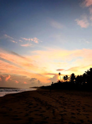 Twillight Shore , Capturing the best