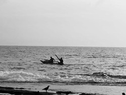 Rowing into the horizon
