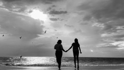 Together,toward the horizon