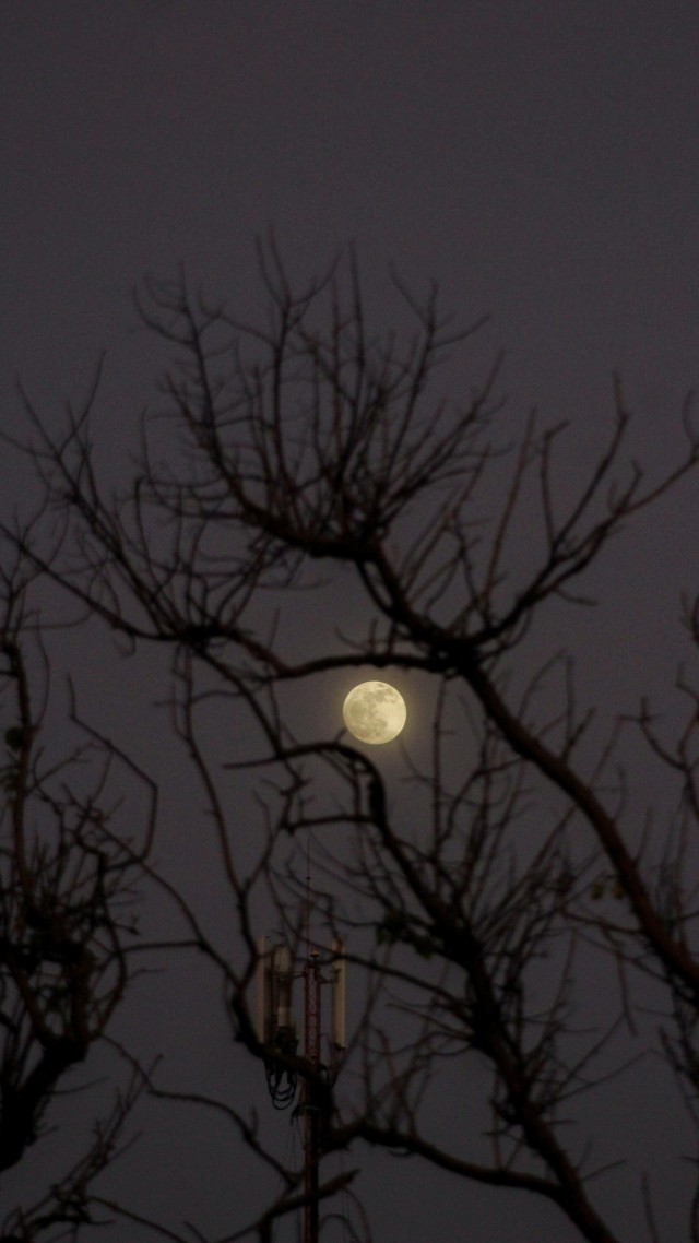 Moon framed by silence