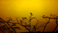 U Color Senura 02 When sun goes down