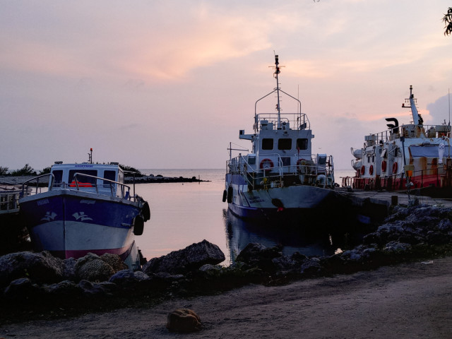 Anchored In Peace