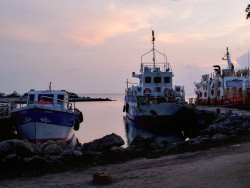 Anchored In Peace
