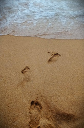 Last Steps