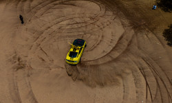 Dirt Therapy