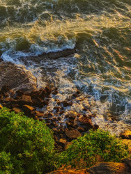 Waves