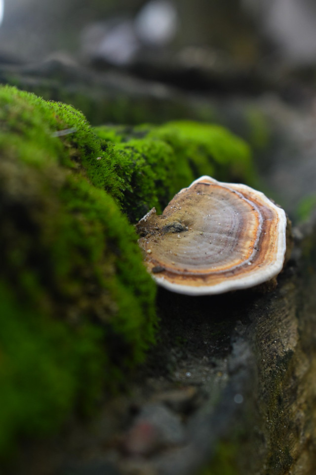 Hidden wonders