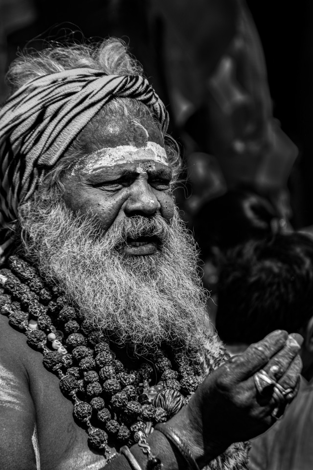 Gaze of Devotion