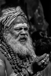 Gaze of Devotion