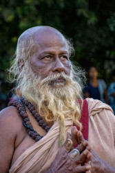 Devotion