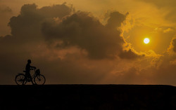 Old Bicycle